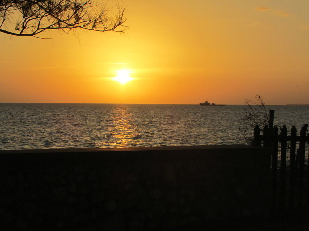 Ocho Rios Villa At Coolshade IV Saint Annʼs Bay Buitenkant foto